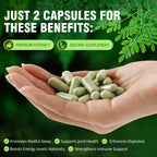 HatmanLabs® Moringa Capsules