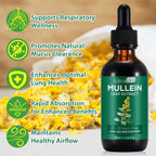 HatmanLabs® Mullein Extract Drops